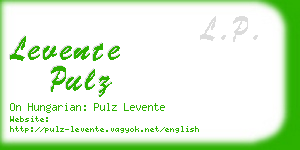 levente pulz business card